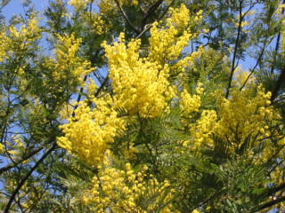 �t�T�A�J�V�A