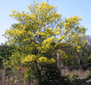 �t�T�A�J�V�A