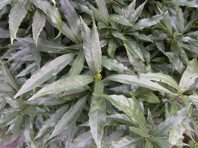 �z�\�o�A�I�L